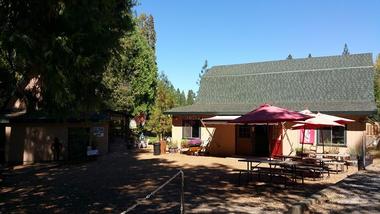 Take an informative orchard tour at Grandpa’s Cellar | Things to Do in Placerville, California