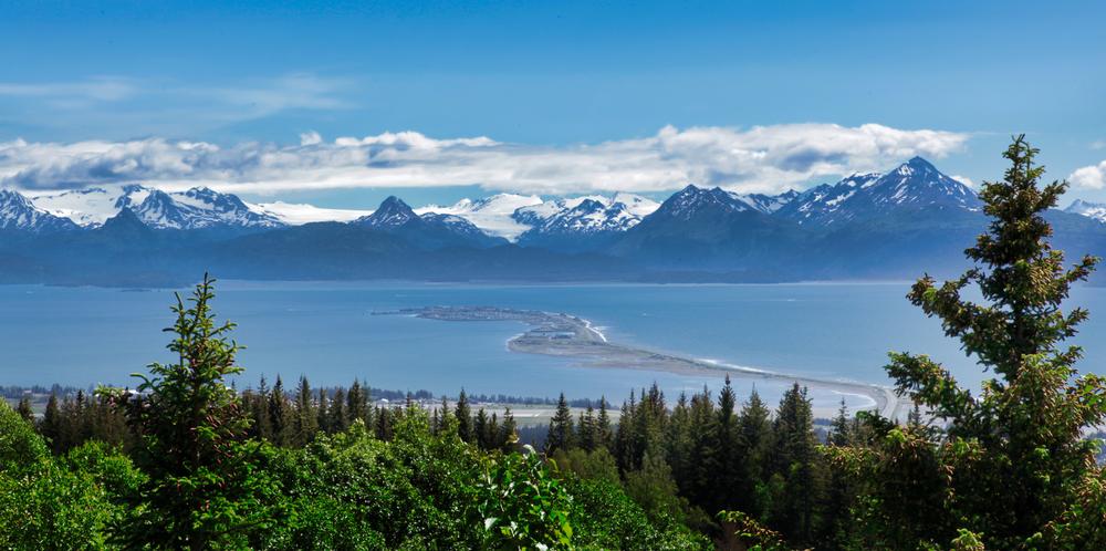 Admire sea and land animals at Kachemak Bay State Park