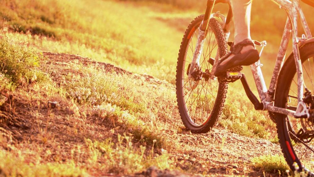 Bike or Hike Scenic Wonders on the Great Allegheny Passage