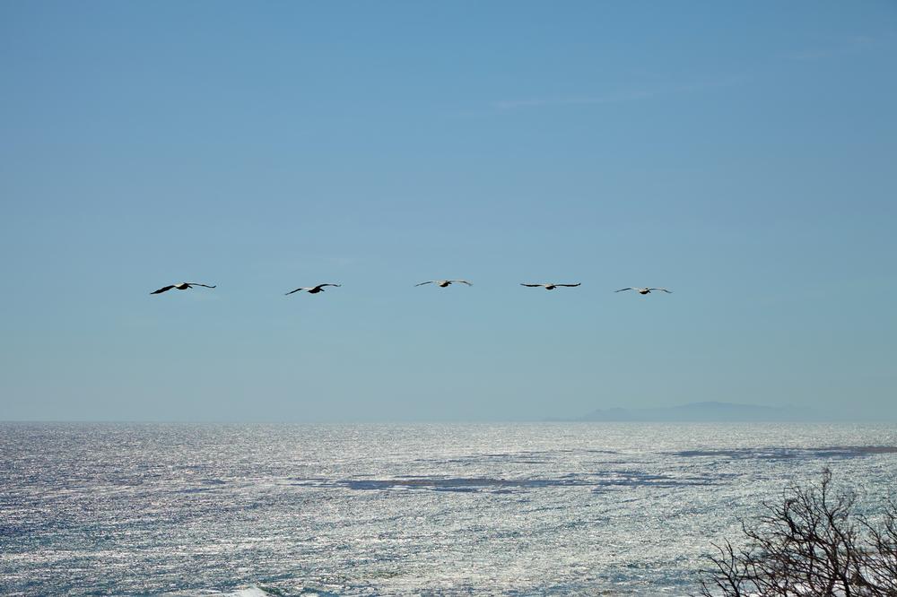 Discover the beauty of Boca Chica, South Padre Island