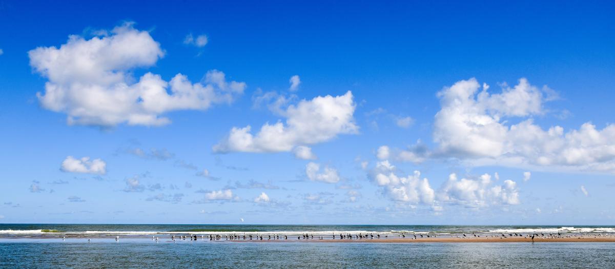 Discover the beauty of Boca Chica, South Padre Island