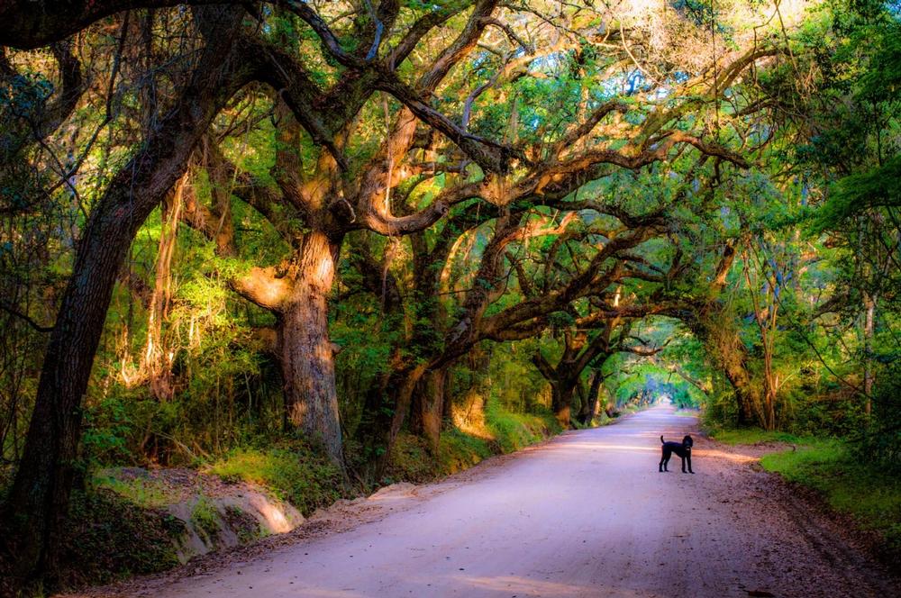 Botany Bay  Heritage Preserve and Wildlife Management Area