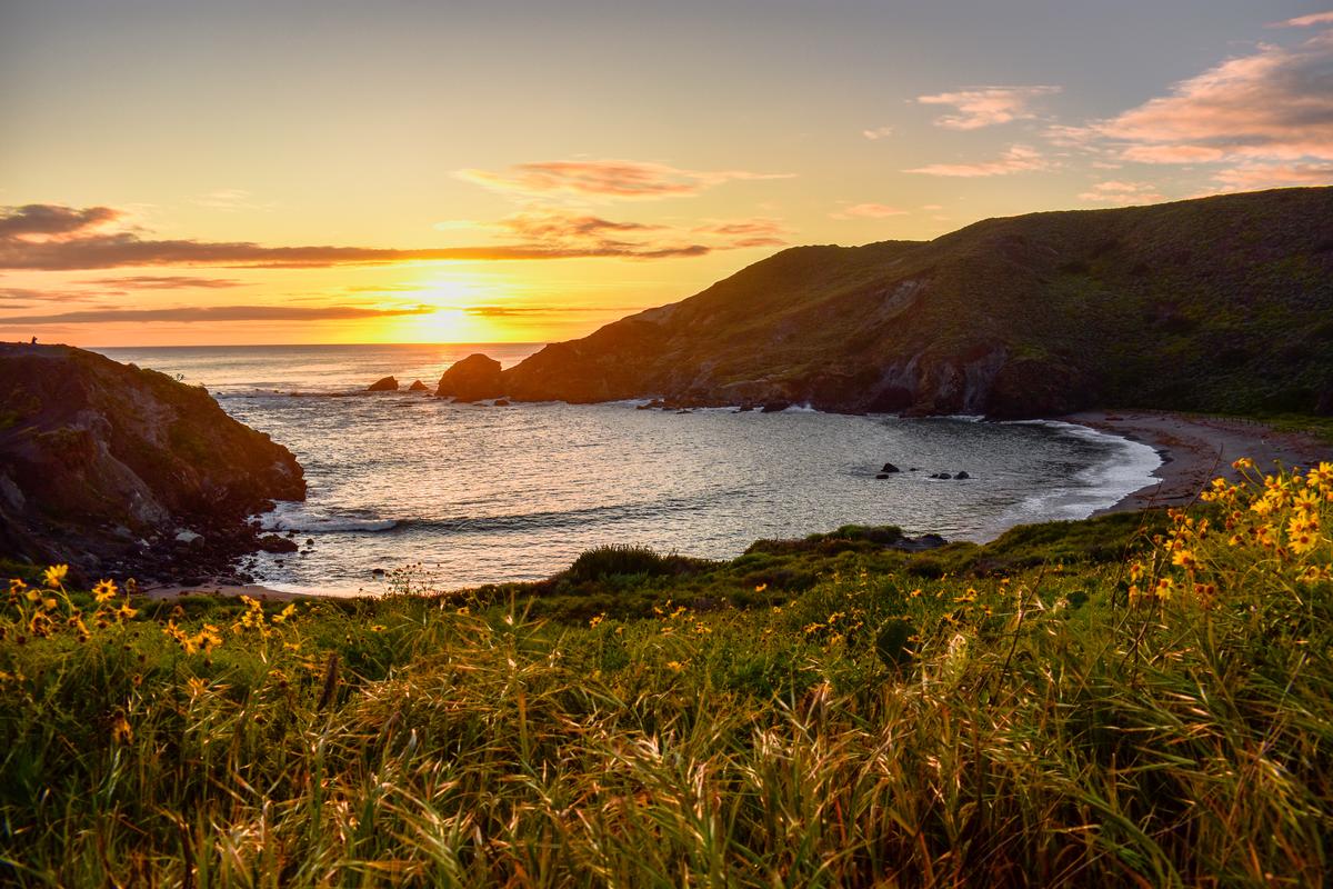 Explore protected lands, admire stunning landscapes and diverse wildlife.