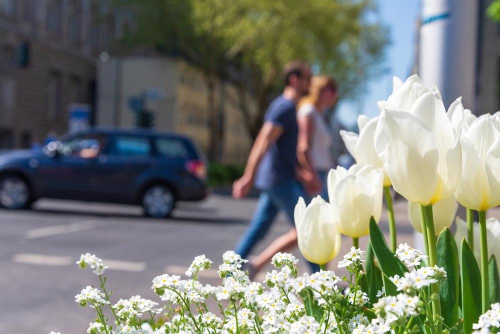 Stroll through charming streets and explore quaint shops and historic sites.