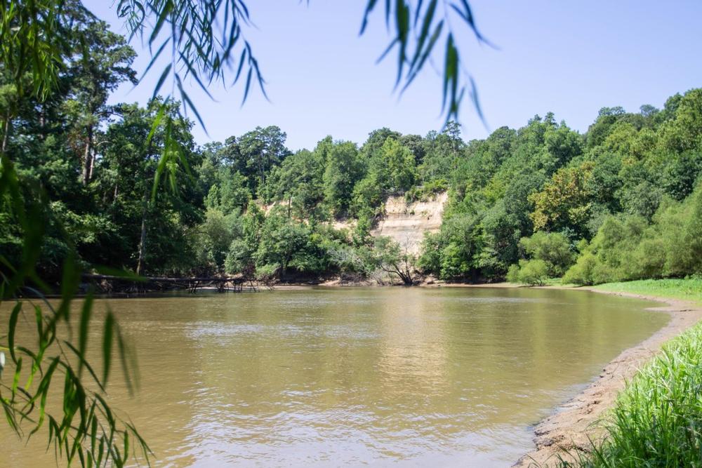 Cliffs of the Neuse State Park