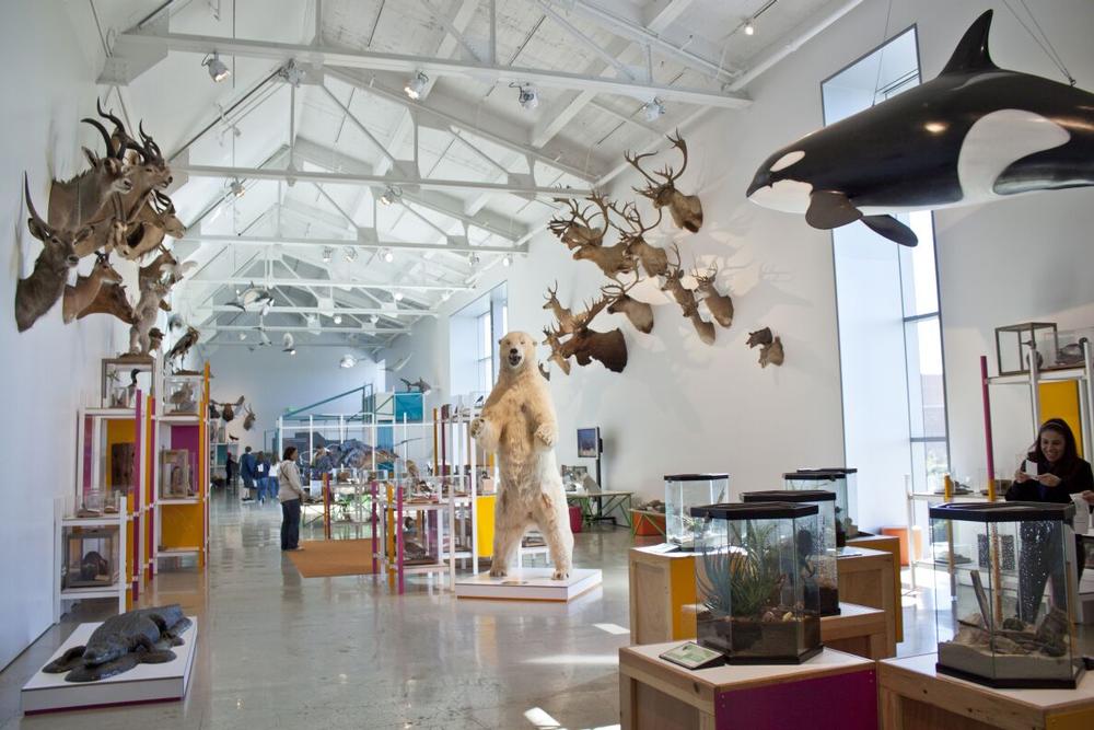 Dig Into Discovery at the Natural History Museum of Los Angeles County