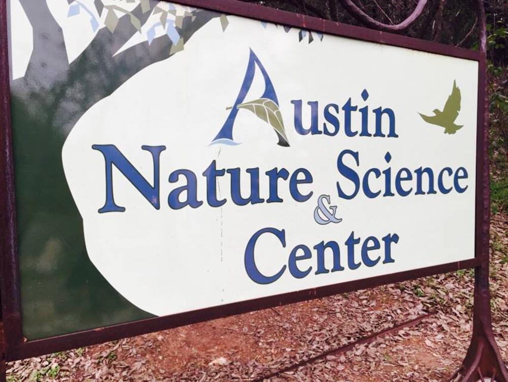 Discover Wildlife and Fossils at the Austin Nature and Science Center