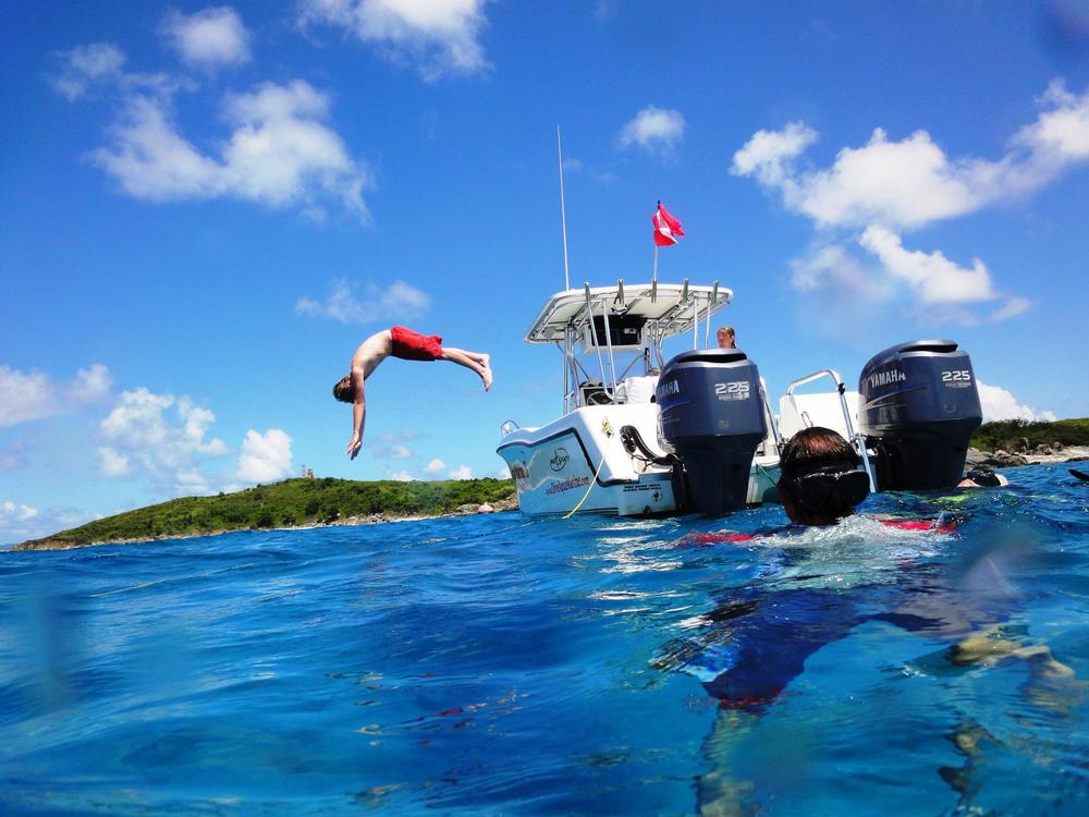 Dive Into Adventure with Aqua Marine Dive Center
