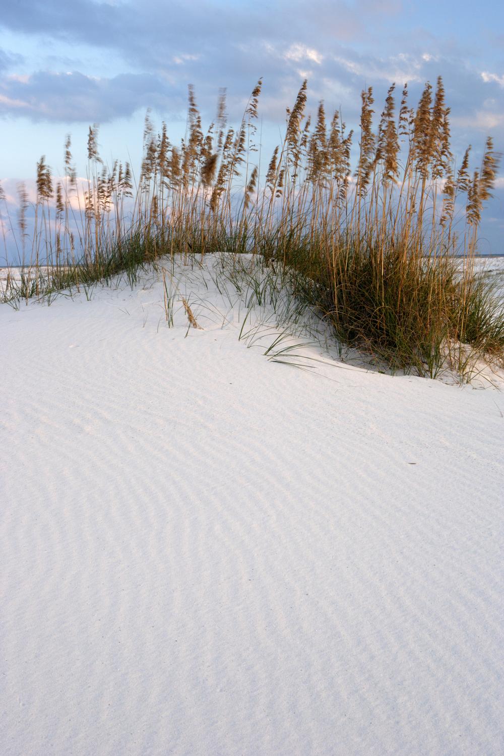 Explore Miles of Nature and Trails at Gulf State Park