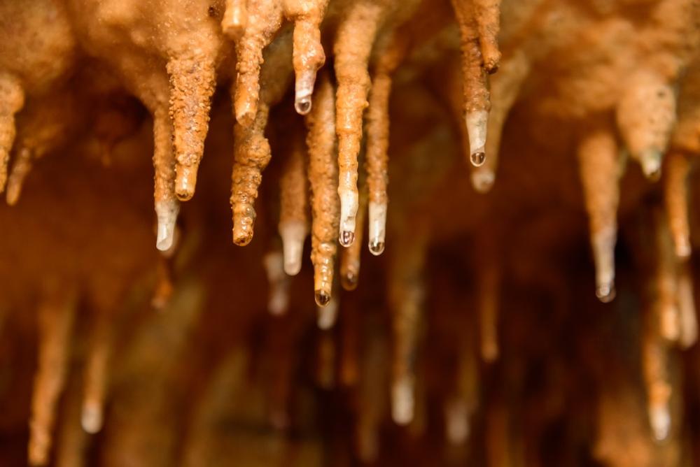 Explore Underground Wonders at Cave Without a Name