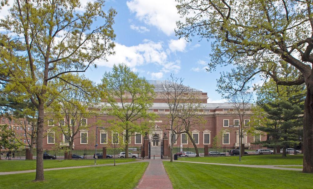 Explore World-Class Collections at the Harvard Art Museums
