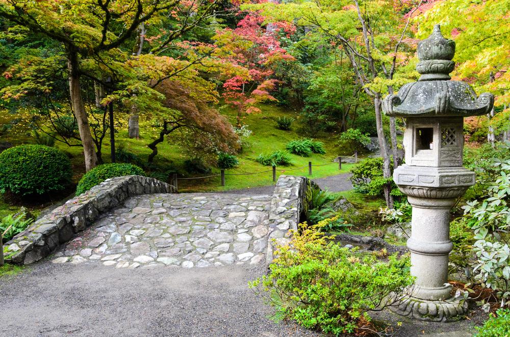 Find Peace Among the Pines at Anderson Japanese Gardens