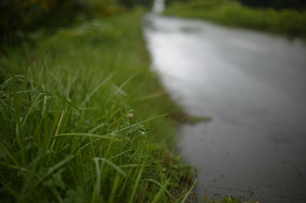 Stroll along the Paul Bunyan State Trail