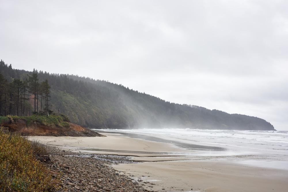 Hike, Camp, and Coastline Gaze at Cape Lookout State Park