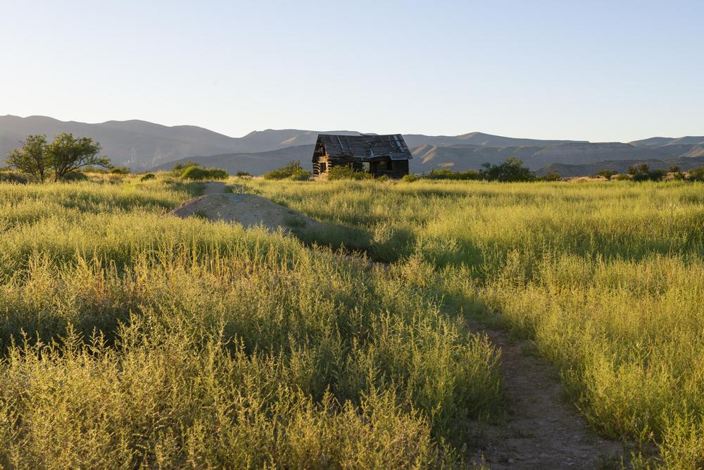 Hike, Camp, and Explore at Dead Horse Ranch State Park