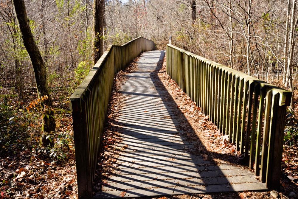 Hike, Paddle, and Breathe Deep in Unicoi State Park