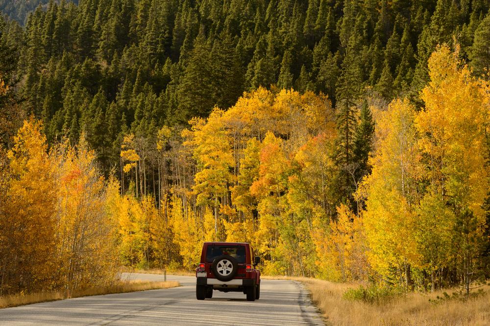 Hike and Paddle Through Natural Wonders at Browns Canyon National Monument