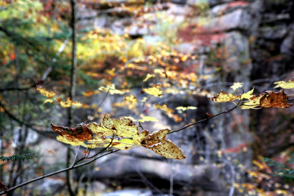Hike Through Time at Flume Gorge