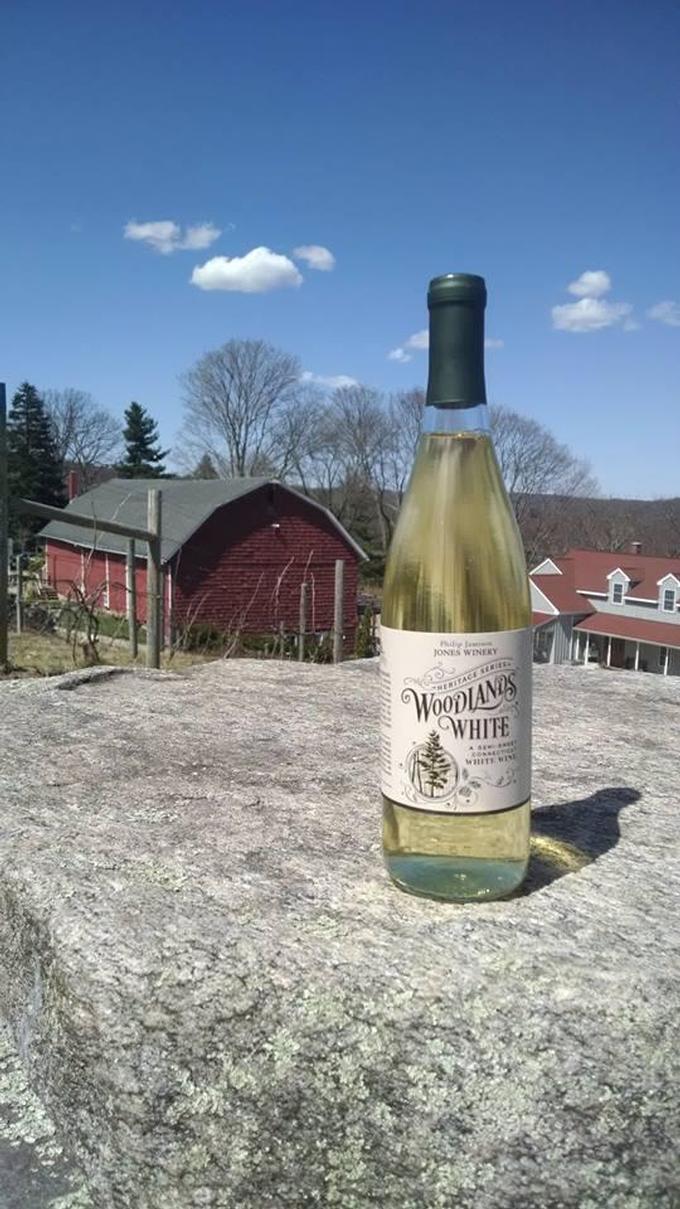 11 Reasons Why Shelton, Connecticut is a Great Weekend Destination