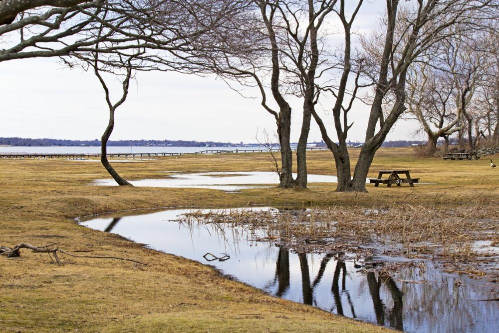 Picnic, Bike, or Relax by the Bay at Colt State Park