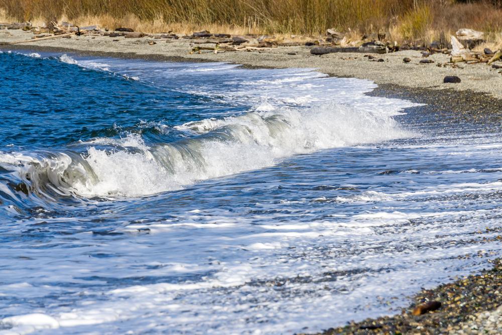 Relax with a view at Seahurst Beach Park