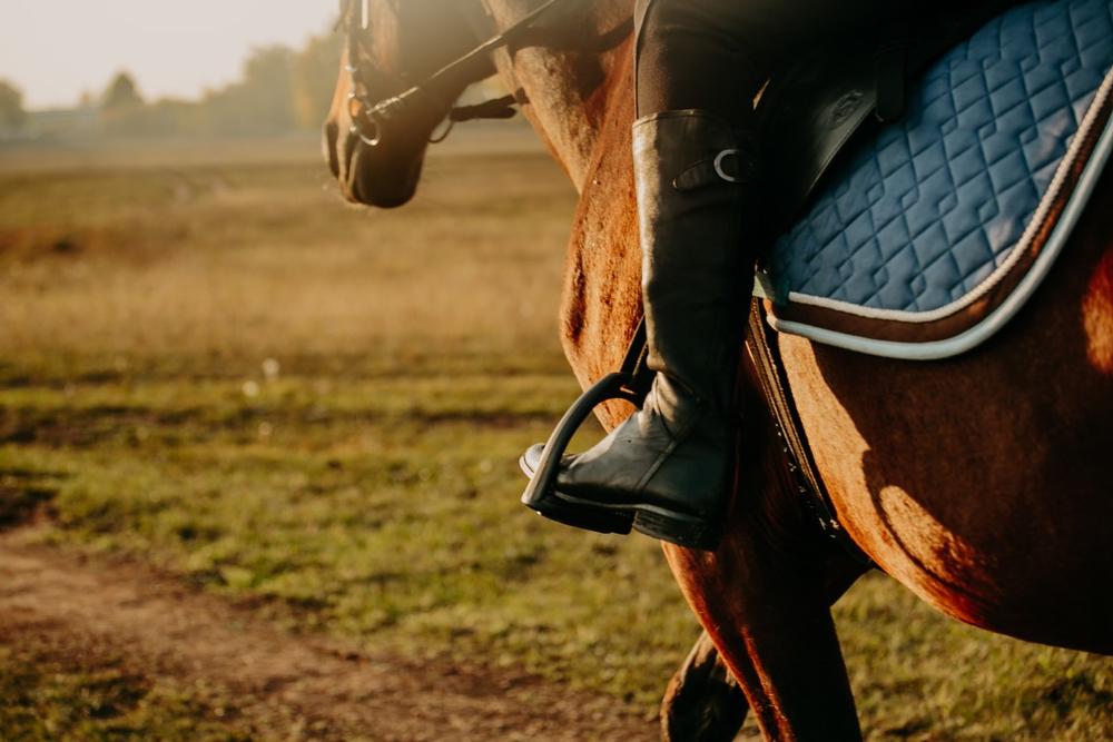 Ride horseback or take a sleigh tour on an exciting mountain trip.