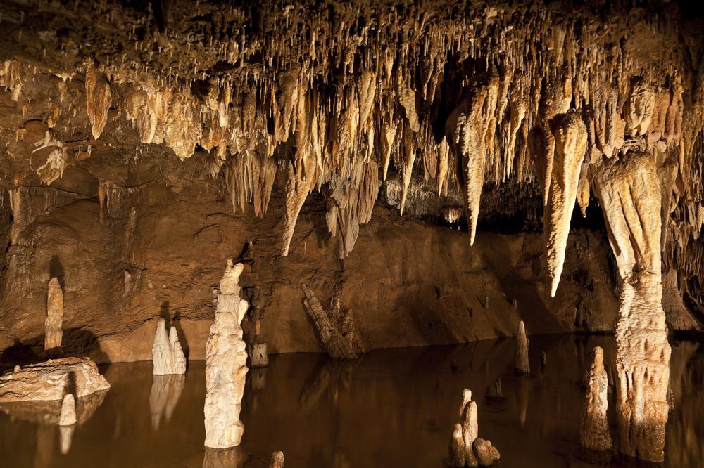 Ride through ancient caves and admire stunning formations on this easy adventure.