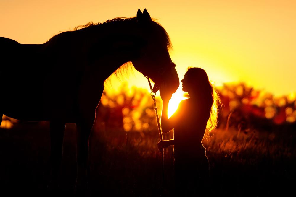 Ride horses or bike through vineyards and enjoy an exciting, scenic wine country trip.