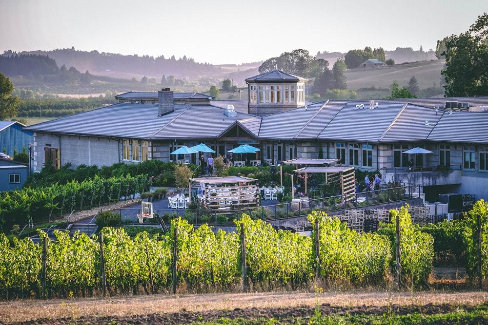 Savor Estate Elegance and Pinot Noir at Adelsheim Vineyard, Newberg