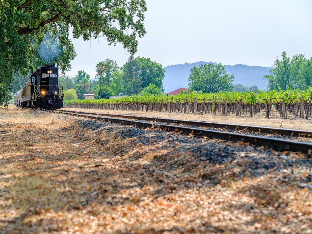 Savor Gourmet Meals and Scenic Views Aboard the Napa Valley Wine Train