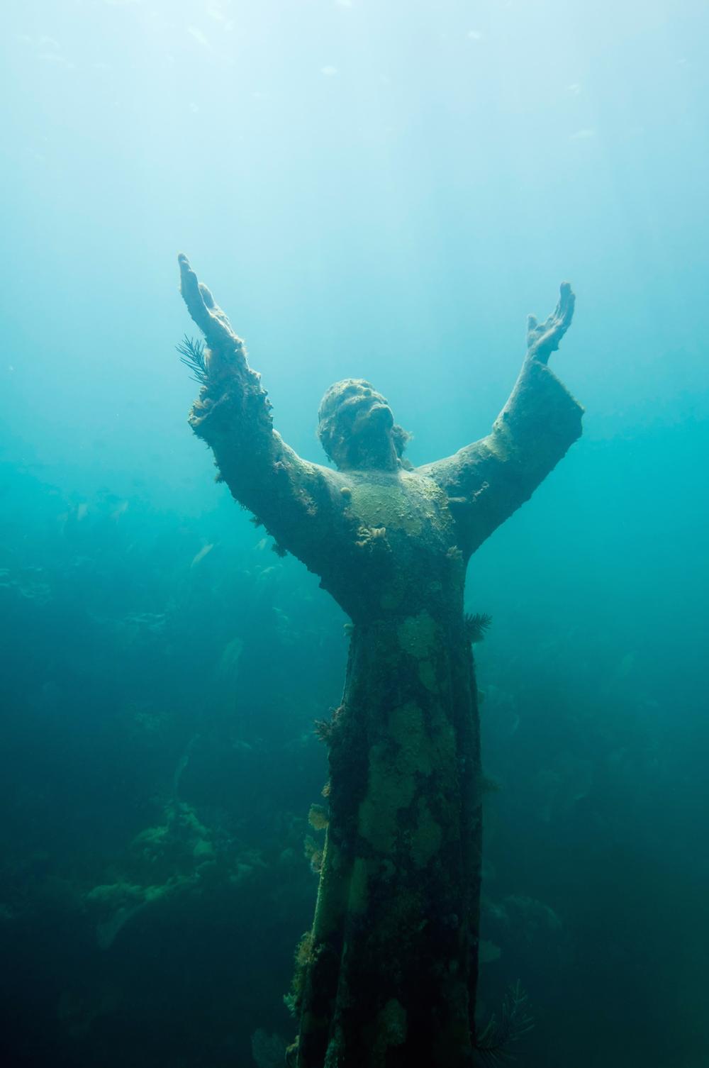 Snorkel Through Underwater Worlds at John Pennekamp Coral Reef State Park