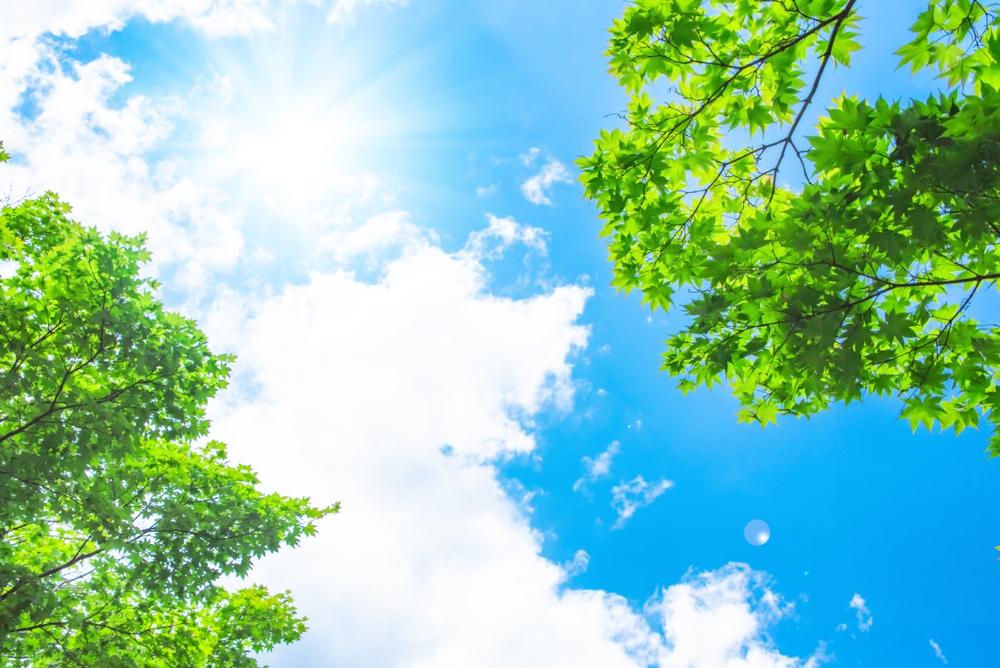 Soak Up Sun, Sand, and Stunning Lake Views at Pere Marquette Park