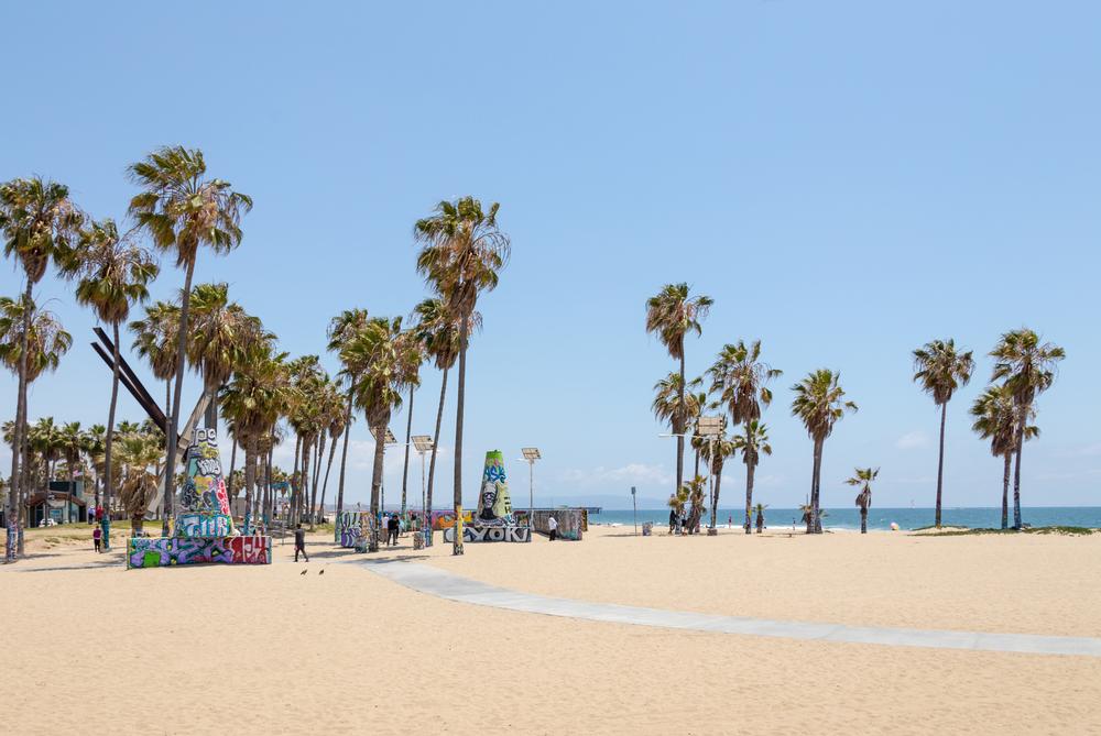 Soak Up the Sun and Street Vibes at Venice Beach