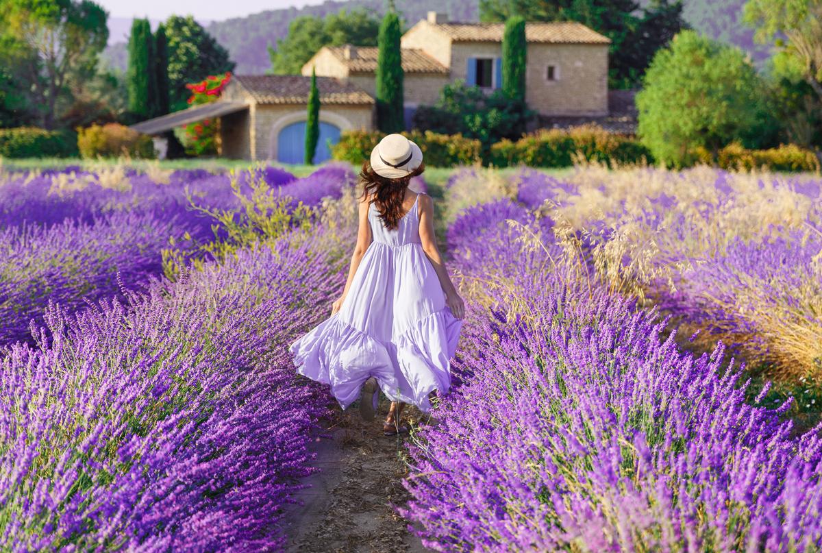 Some things you definitely need to know about visiting Provence