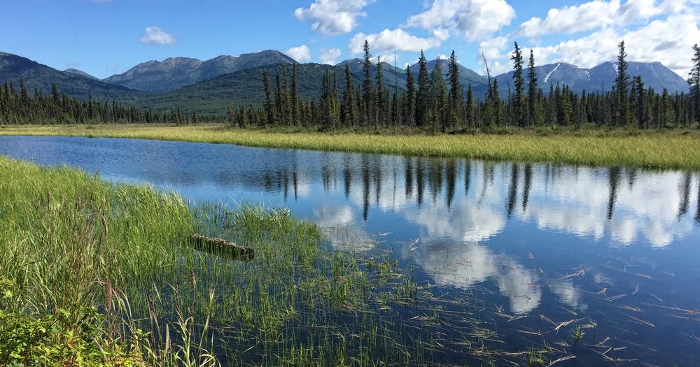 Spot Wildlife and Hike Scenic Trails at Kenai National Wildlife Refuge