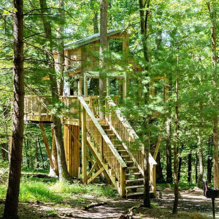 Stay in rustic treehouses, enjoy peaceful forest views during a weekend trip.