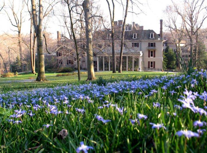 Explore antiques and walk in scenic gardens during a peaceful spring visit.