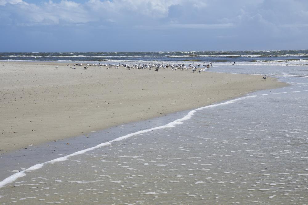 Stroll, Shop, and Soak in Charm at Fernandina Beach