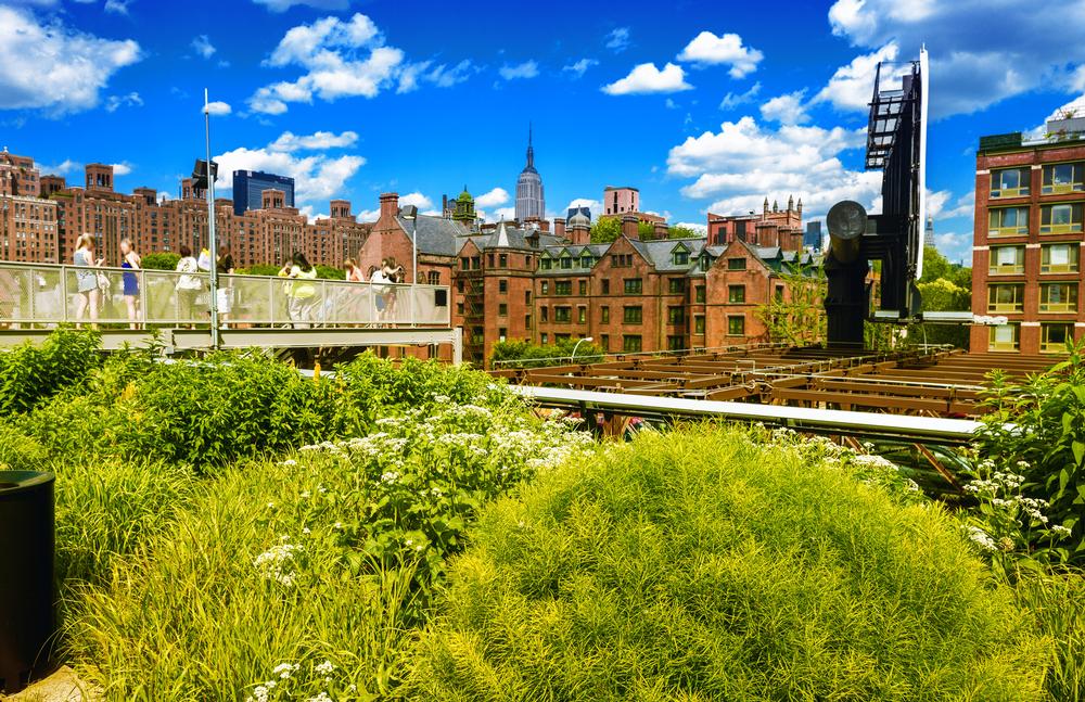 Stroll along The High Line and enjoy the vies