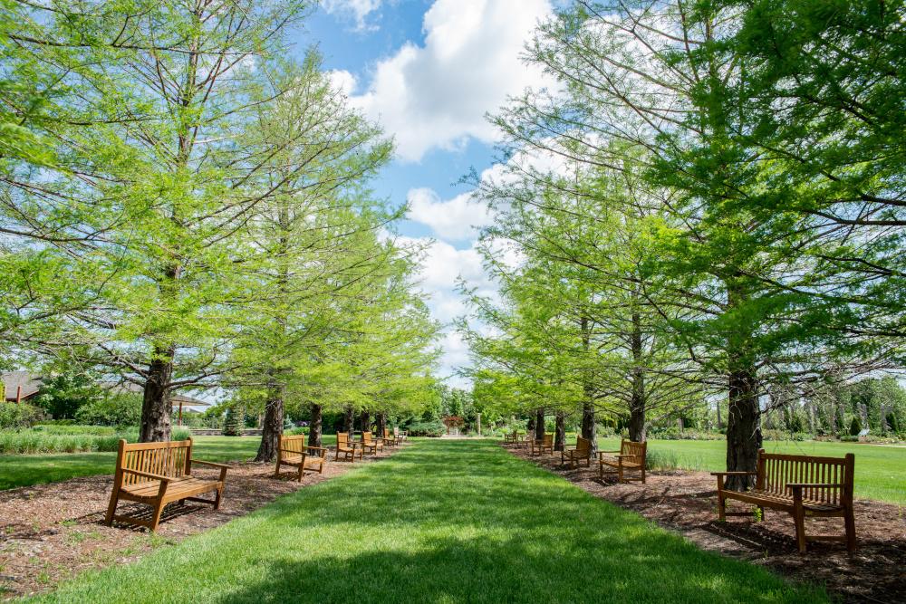 Stroll Through Lush Landscapes and Butterflies at Reiman Gardens