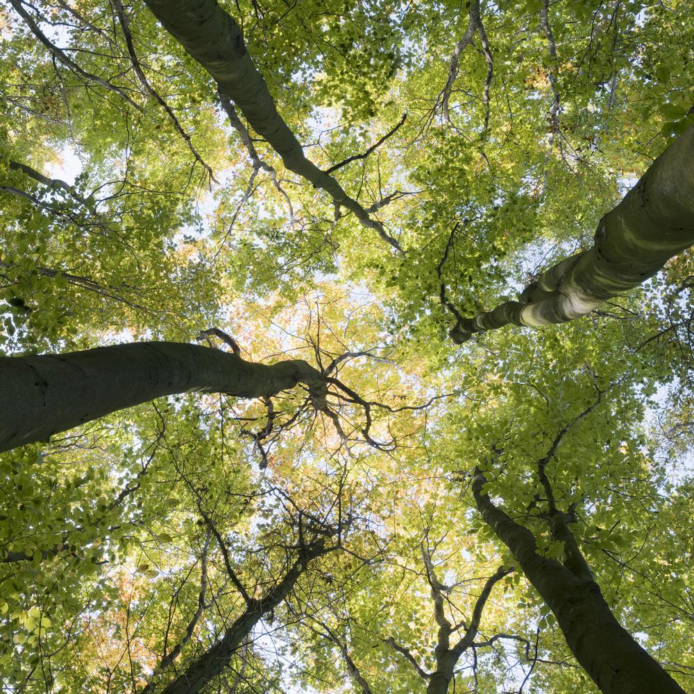 Take in Sweeping Views on the Black Cap Hiking Trail