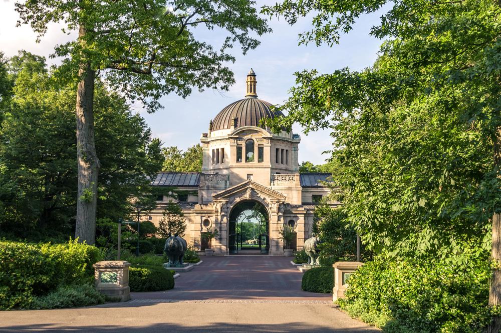 Take the kids to the Bronx Zoo