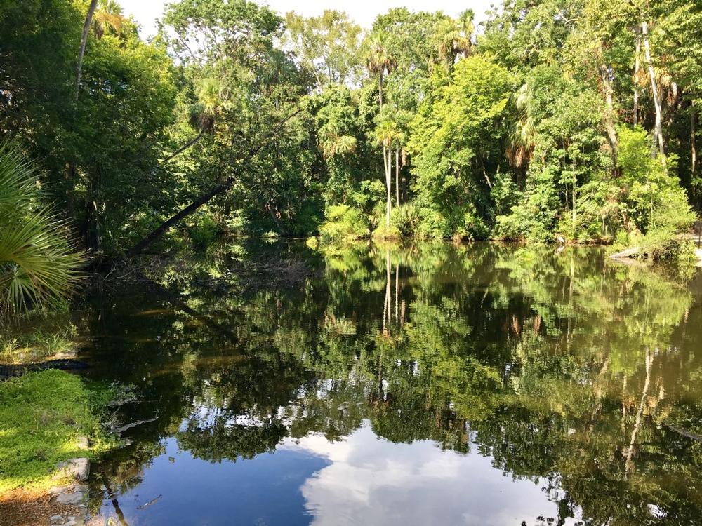 The Homosassa River | Homosassa, Florida