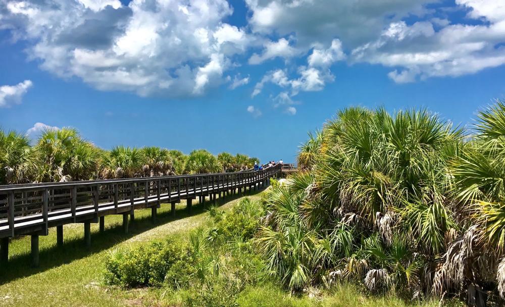 Unwind on Pristine Shores at Caladesi Island State Park