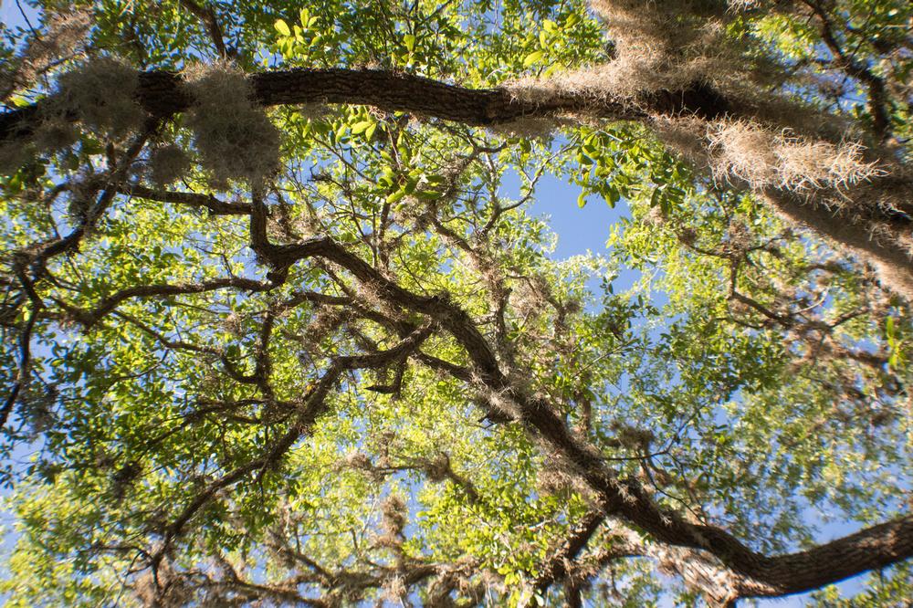 Explore scenic trails, admire peaceful coastal views and native wildlife.
