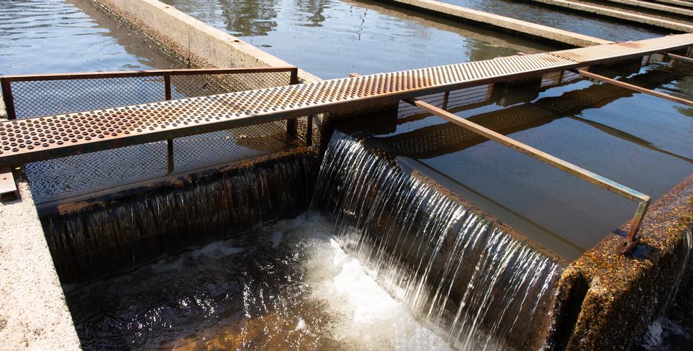 Visit the Page Springs National Fish Hatchery