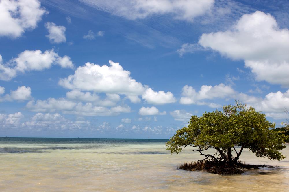 Wade into Tranquility at Anne’s Beach