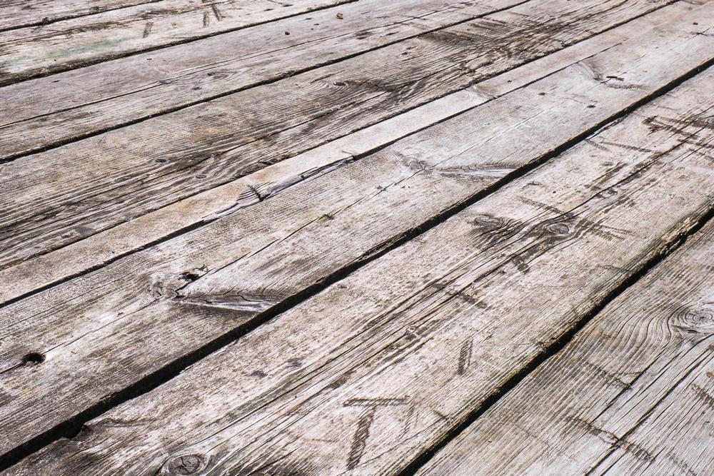 Walk, Bike, or Picnic Along the Scenic Tuscaloosa Riverwalk