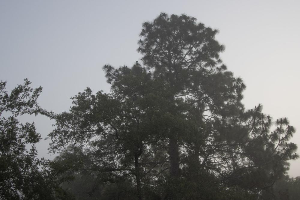 Bike or walk along scenic paths during an easy and peaceful weekend escape.