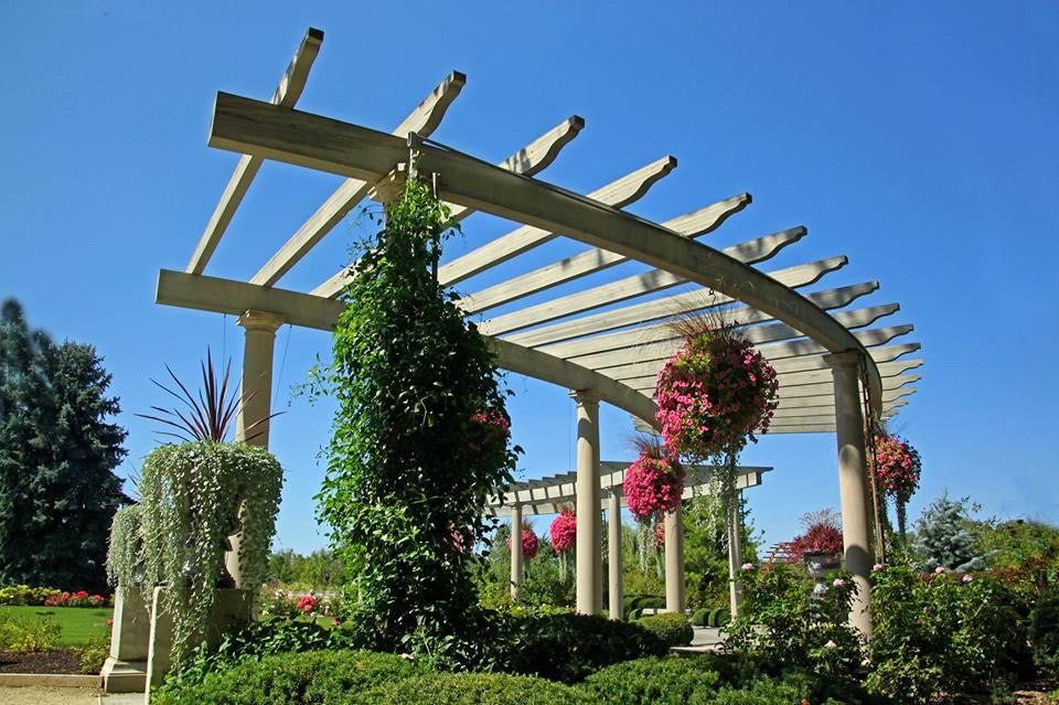 Wander Through Vibrant Blooms and Serene Landscapes at Rotary Botanical Gardens